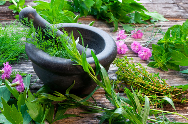 O suco de ervas é um tratamento caseiro capaz de aliviar os sintomas da sinusite