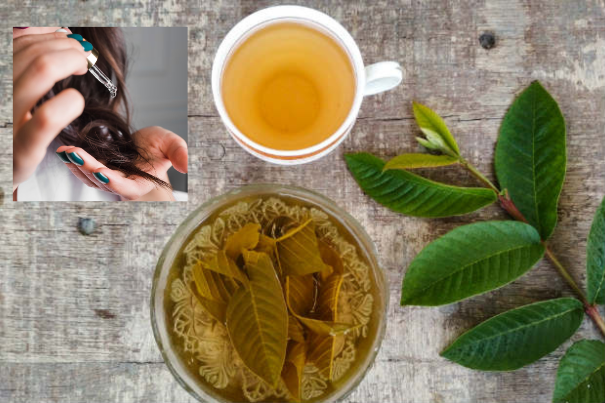 Combate à Queda Capilar com Chá de Folha de Goiabeira: Uma Abordagem Natural para Cabelos Saudáveis